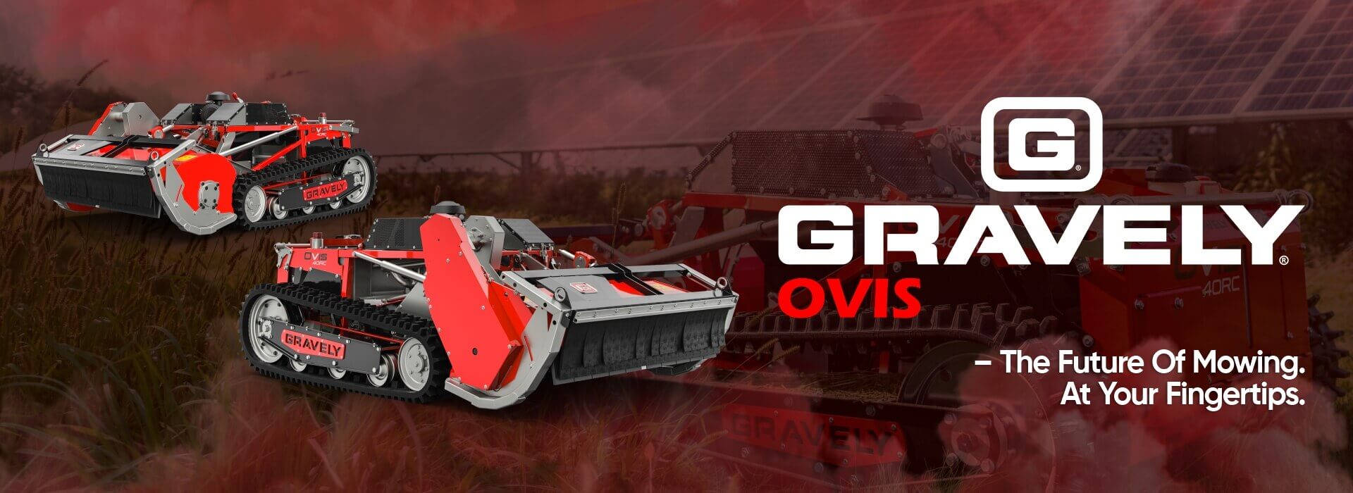 Gravely - OVIS